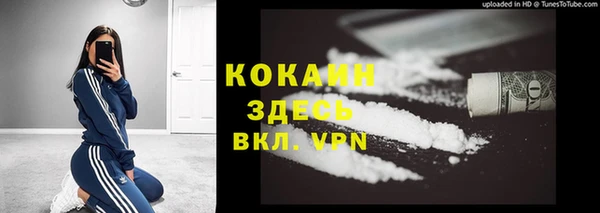 мдпв Богородск