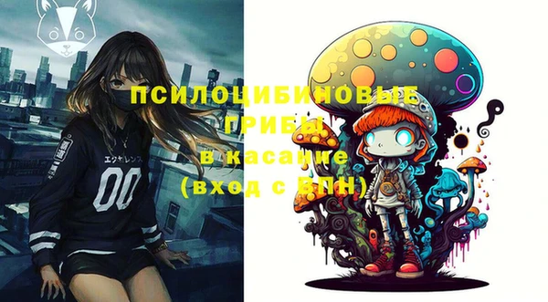 таблы Богородицк