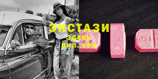 сатива Беломорск