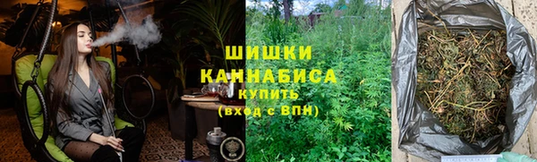 мдпв Богородск