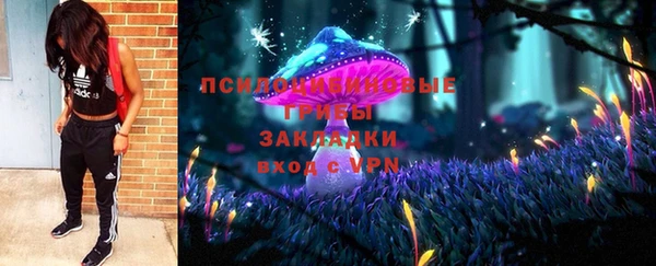 таблы Богородицк