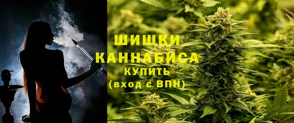 таблы Богородицк
