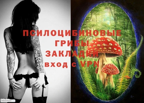 а пвп мука Богданович