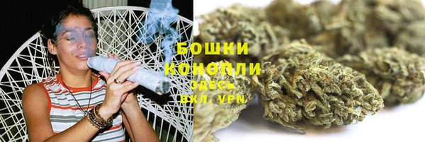 таблы Богородицк