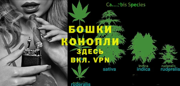 таблы Богородицк