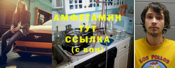 мдпв Богородск