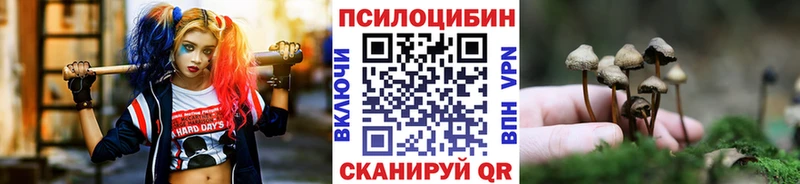 купить наркотик  Светлый  дарк нет состав  Псилоцибиновые грибы Psilocybine cubensis 